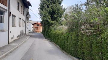 zasaditev v svetlem profilu ceste in pločnika (2)